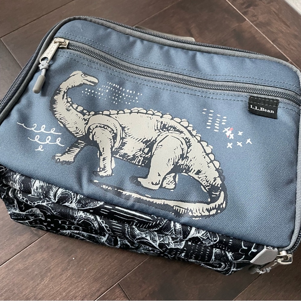 L.L. Bean Dinosaur Lunch Box Bag